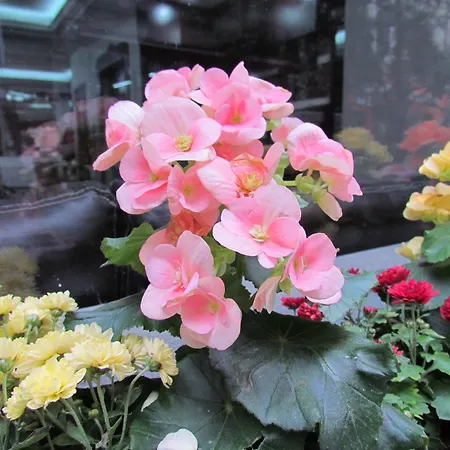 Promise Hotel Estambul